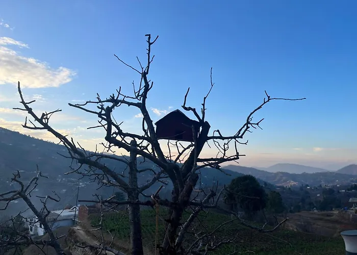 Saanidhya Homestay